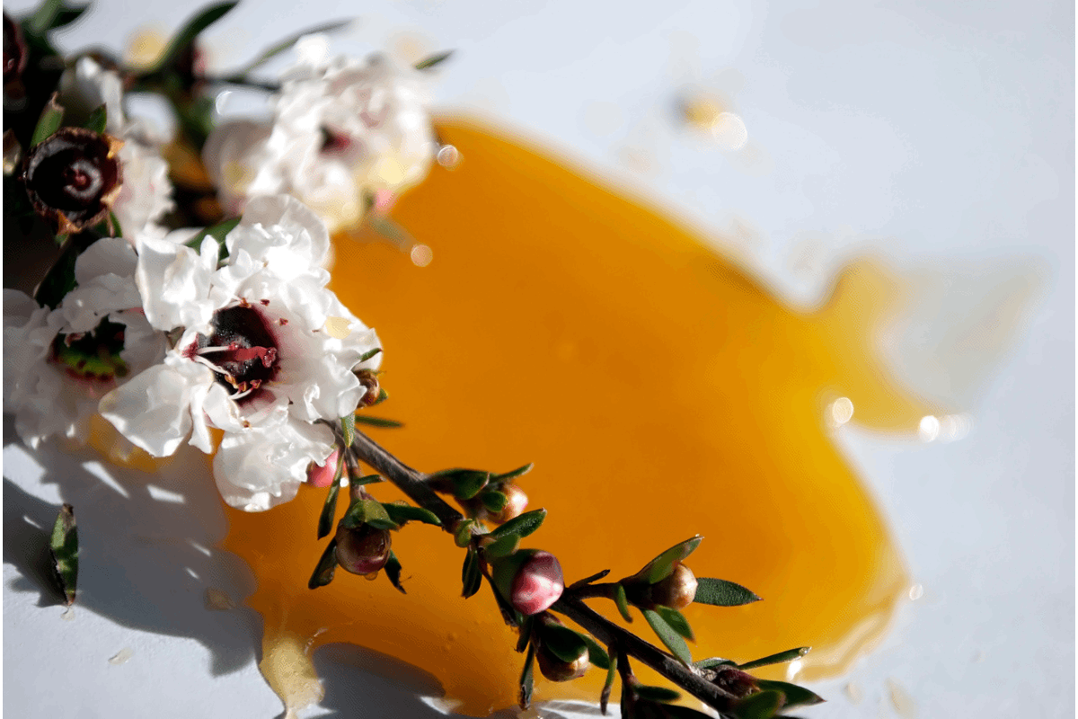 Golden Manuka honey surrounded by delicate white blossoms.
