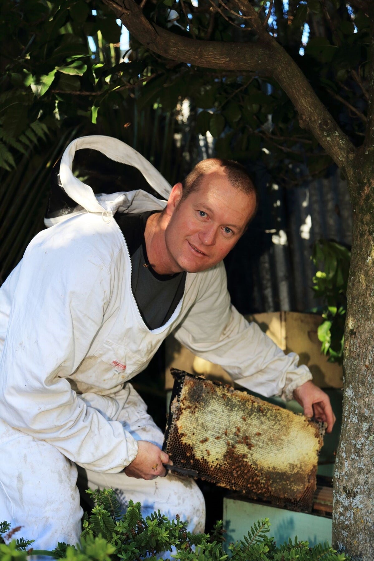 Beekeeper harvesting fresh honeycomb outdoors with protective suit in natural setting