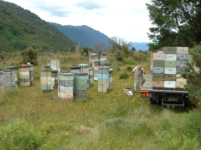 Rata Honey (270g) | PRI – Pacific Resources International, Inc.
